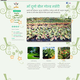 Maa Durga Green Nursery